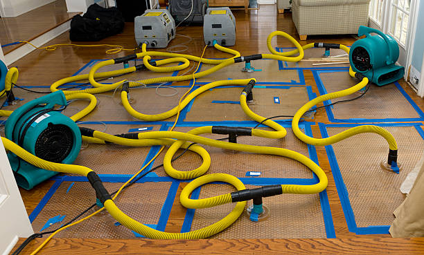 Professional Water Damage Repair technician working in Belhaven, NC